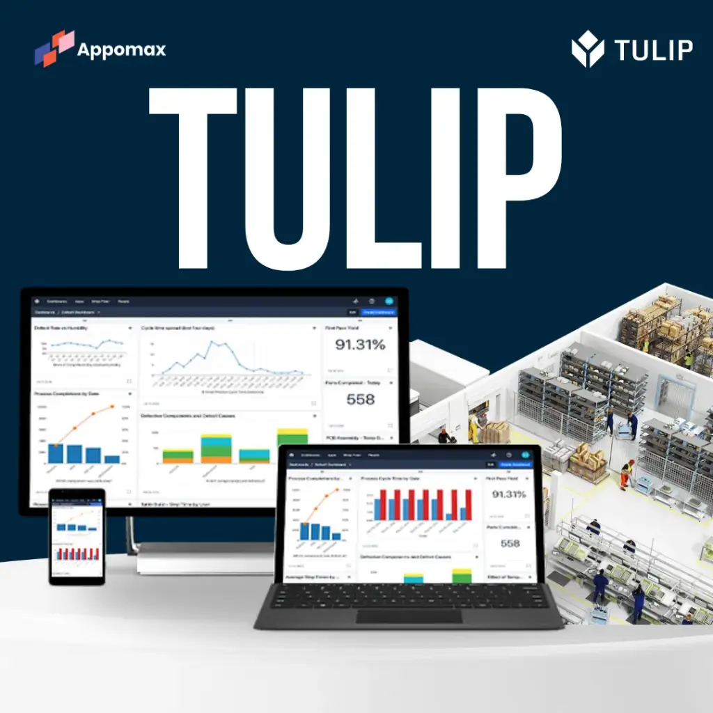 Tulip